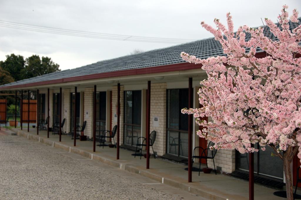Motel Woongarra Rutherglen Exterior foto