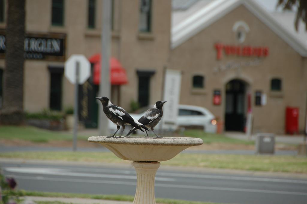 Motel Woongarra Rutherglen Exterior foto
