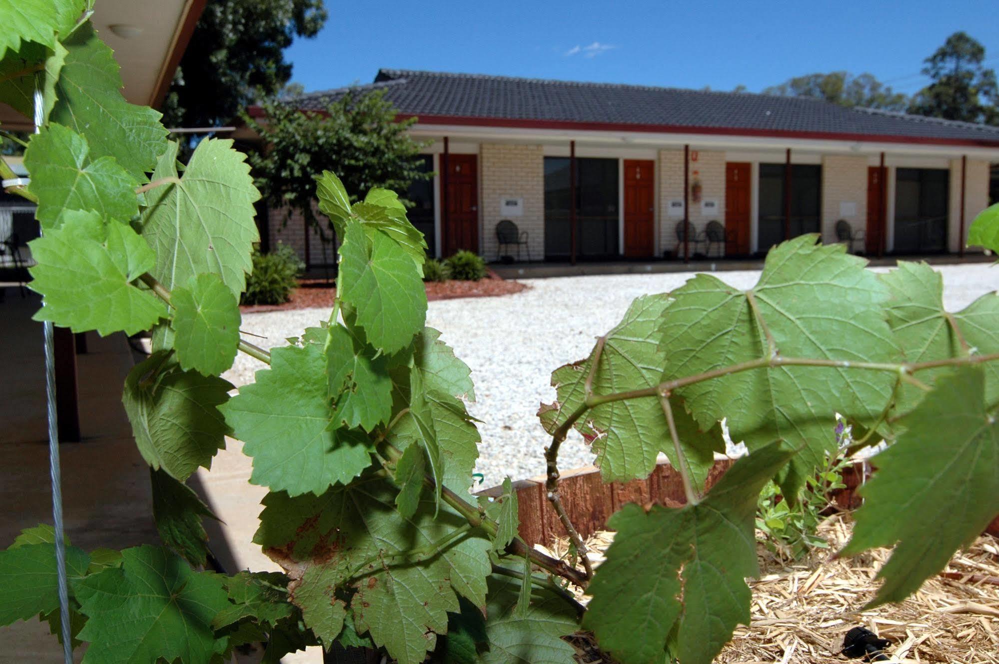 Motel Woongarra Rutherglen Exterior foto